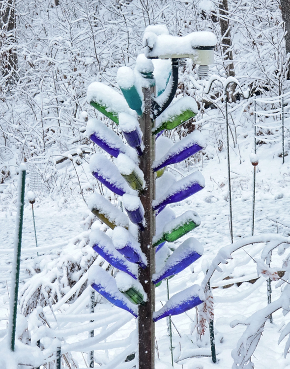 Snow_bottle_tree