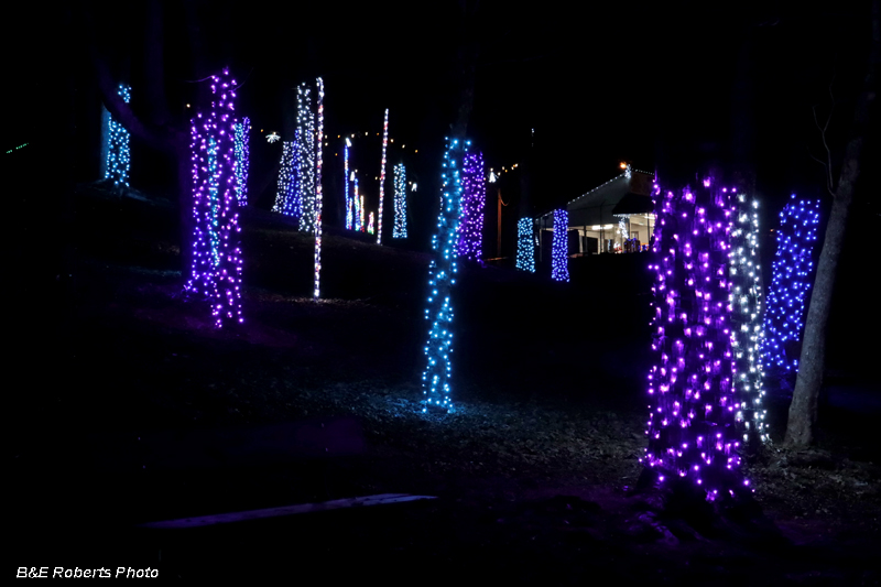 Purple_lights