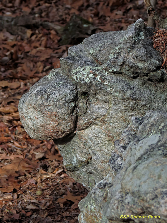 Rock_head