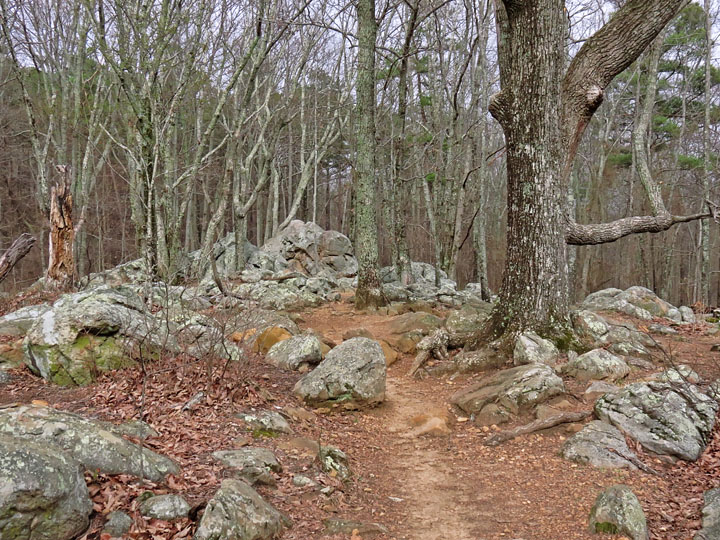 Pigeon_Hill_trail