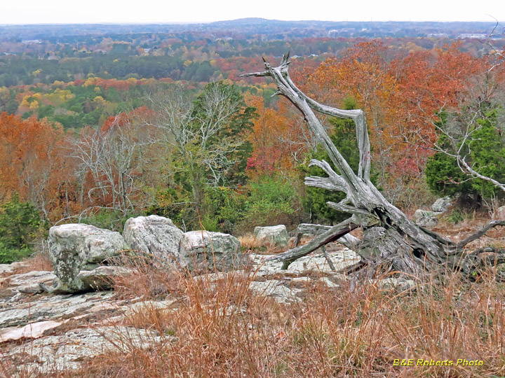 Rock_outcrop_view