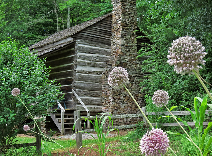 Beavers_cabin