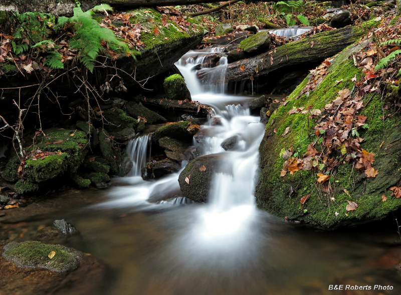 Cascades