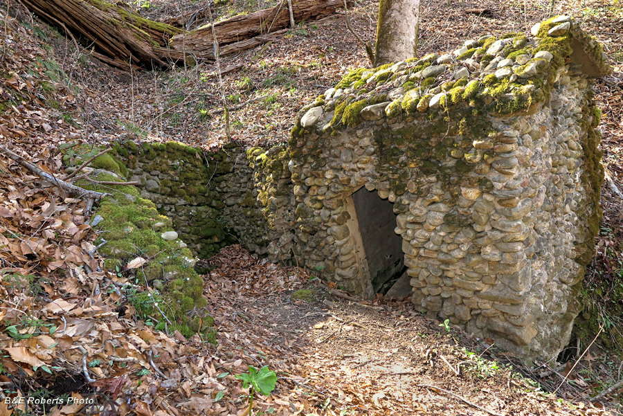 Springhouse