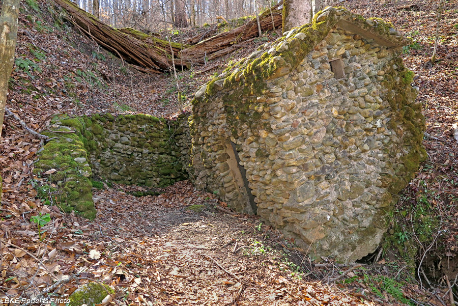 Springhouse