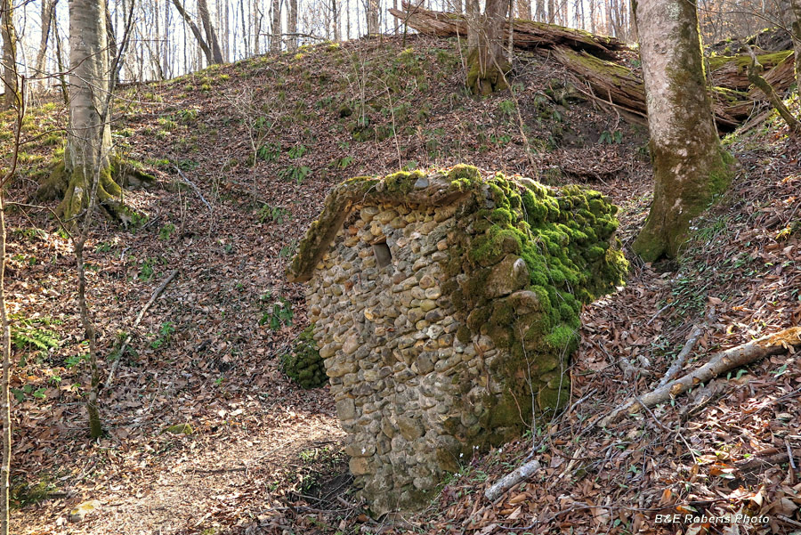 Springhouse