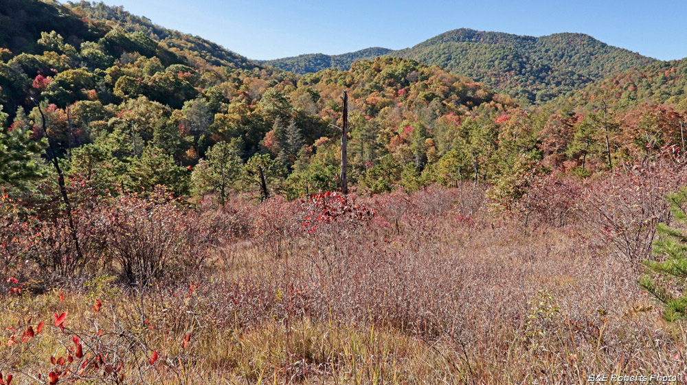 East_Barrens