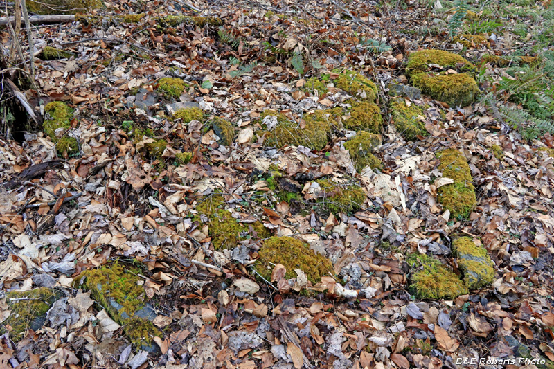 Chimney_rocks