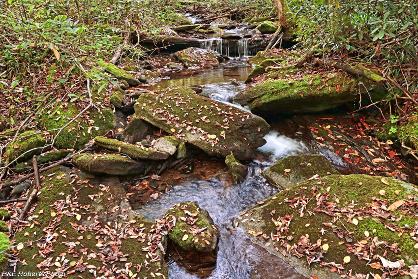 Barnards_Creek