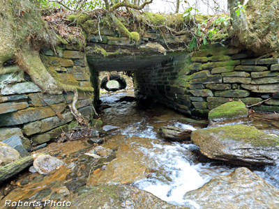 CCC_Bridge