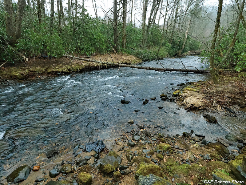 Buck_Creek