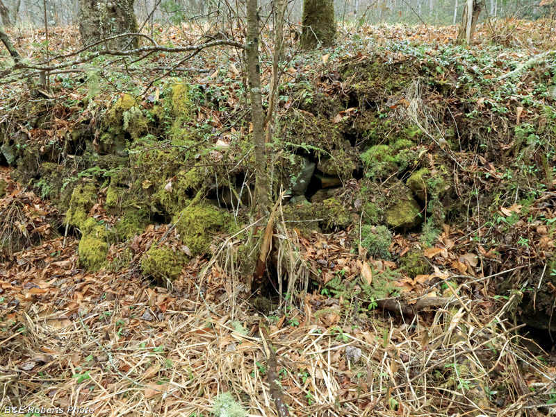 Rock_wall
