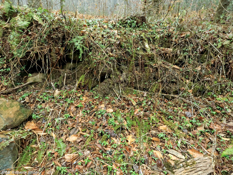 Rock_wall
