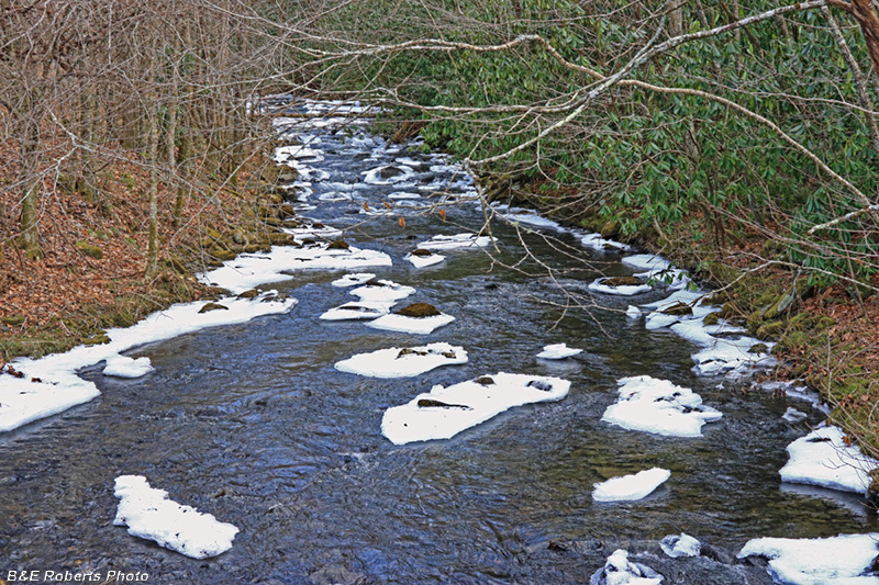 Cold_Buck_Creek