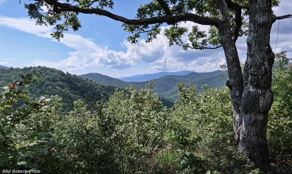 Corundum_Knob_view