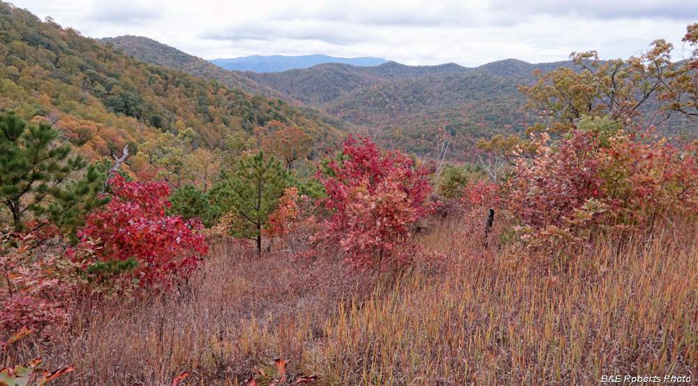 Corundum_Knob_view