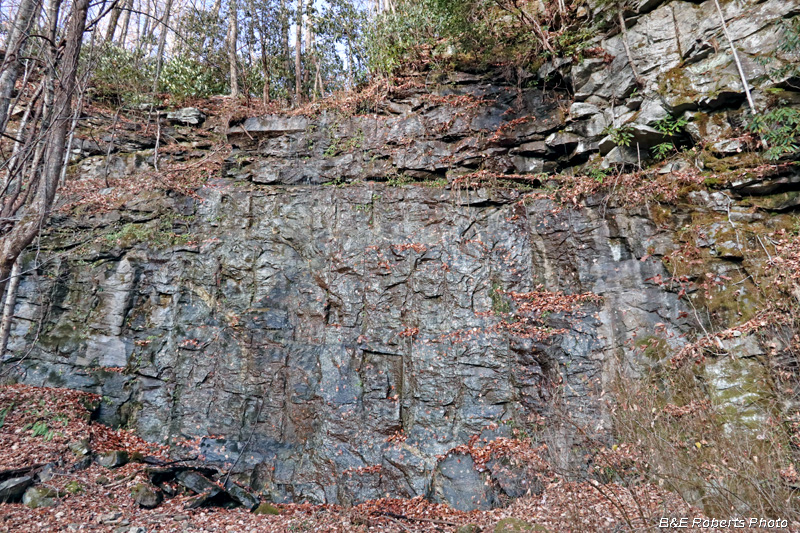 Wet_Quarry_Wall