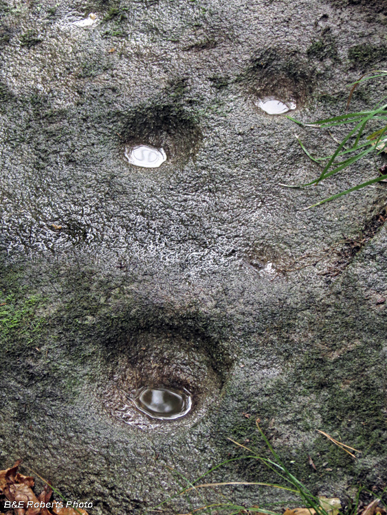 Cupule_Boulder_detail