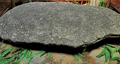 Cline_petroglyph_boulder