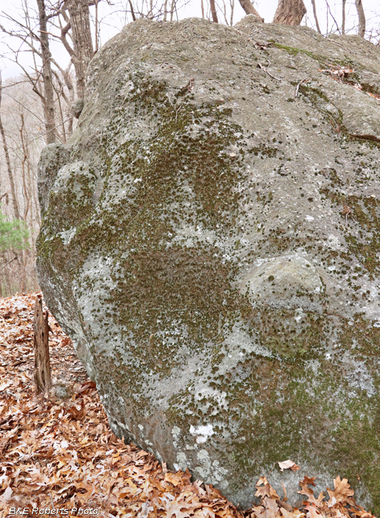 Quarry_Rock_profile