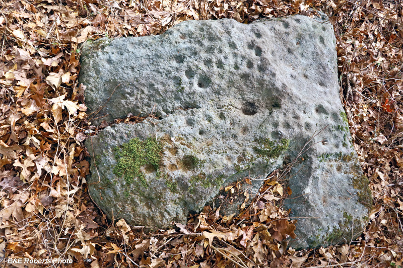 Petroglyph_rock