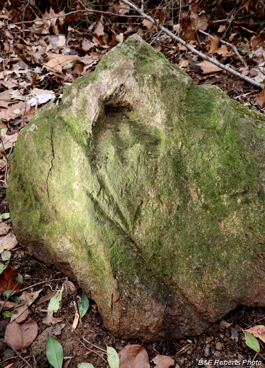 Petroglyph