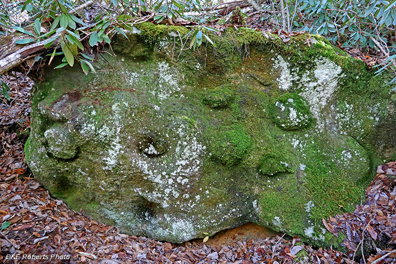 Soapstone_Quarry_Boulder