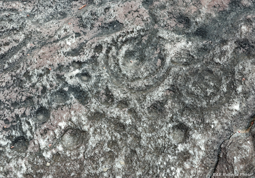 Petroglyph_detail