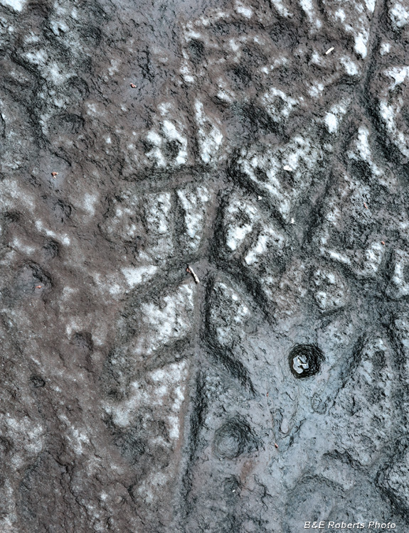 Petroglyph_detail