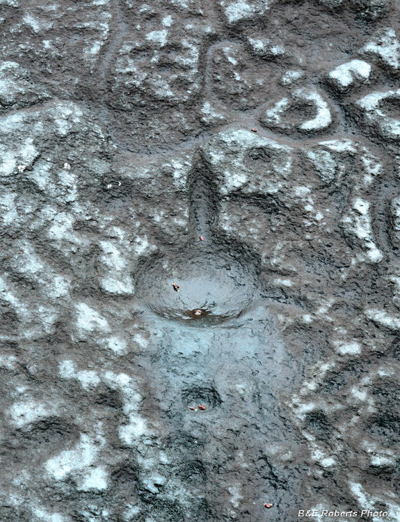 Petroglyph_detail