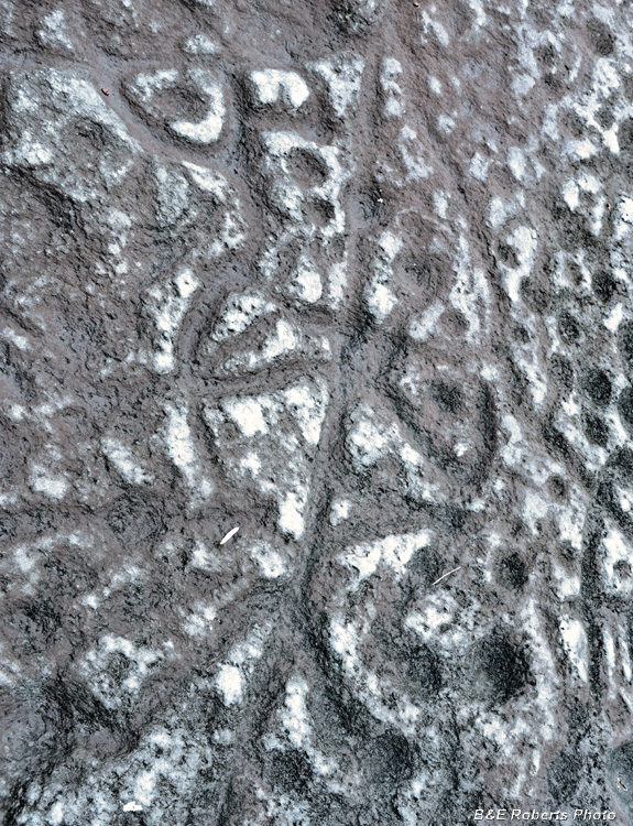 Petroglyph_detail