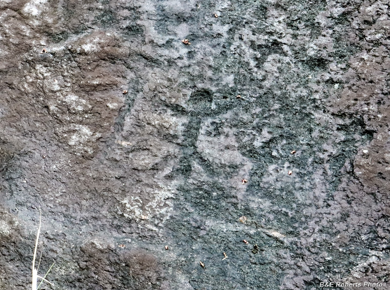 Petroglyph_detail