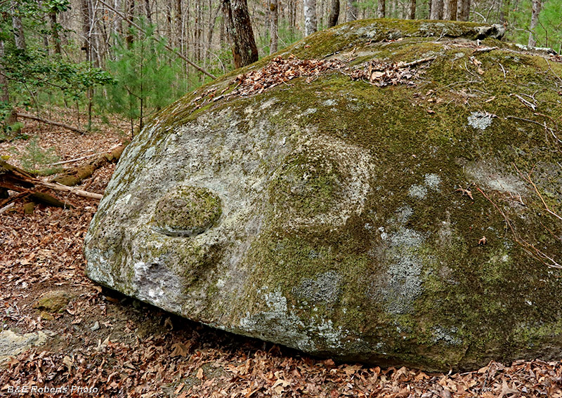 Bowl_Boulder