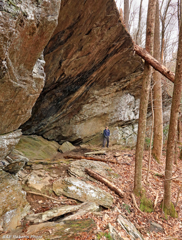 Rock_shelter