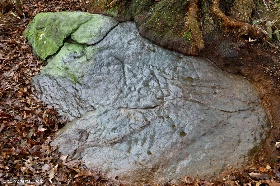 Petroglyph_Rock