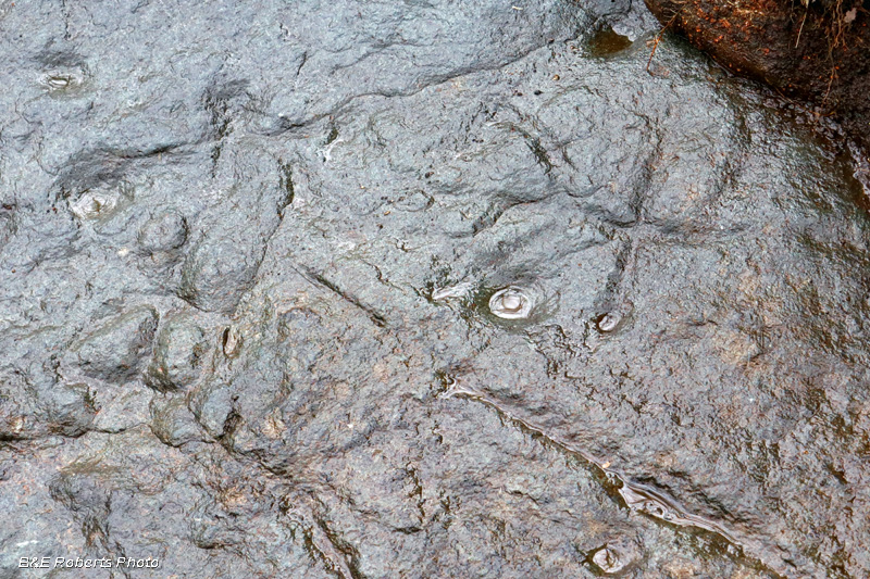 Petroglyphs