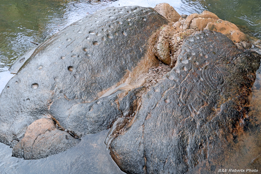 Petroglyph_&_cupule_rocks