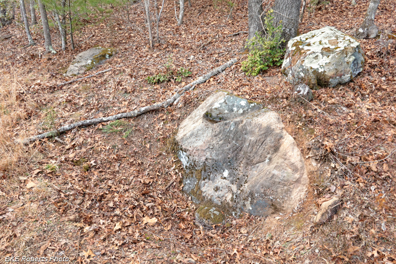 Petroglyph_boulders
