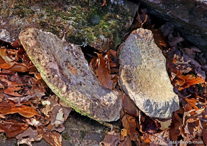 Bowl_fragments