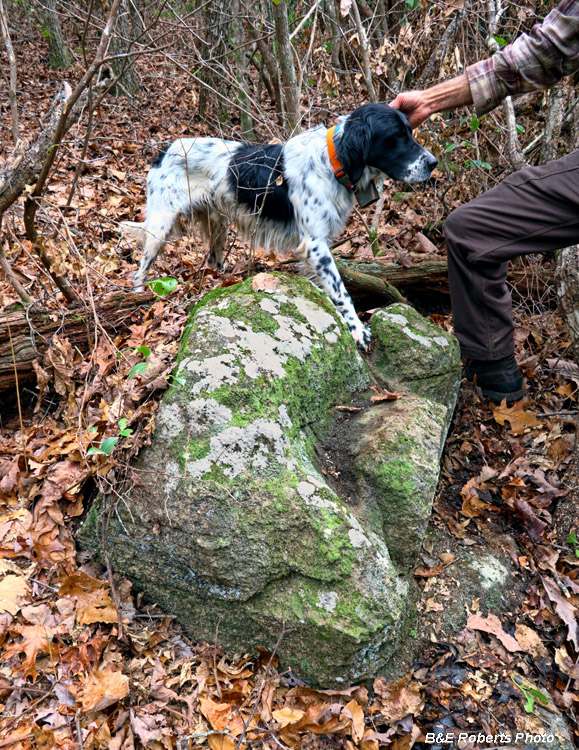 Three_bowl_rock