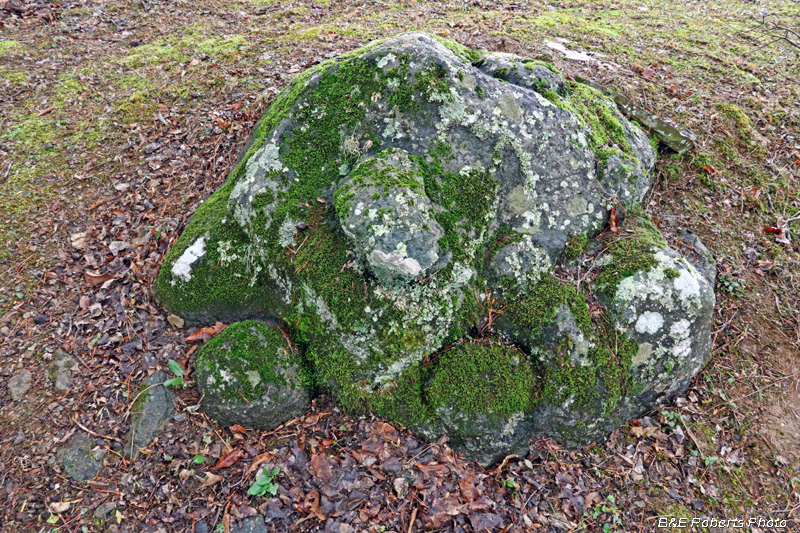 Soapstone_boulder_1