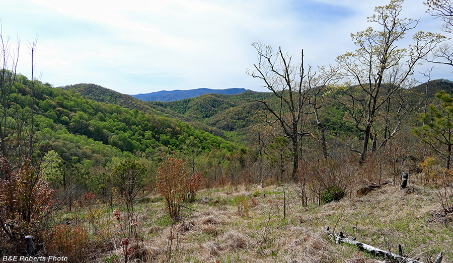 Corundum_Knob_view