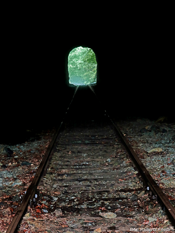 Thru_Tunnel