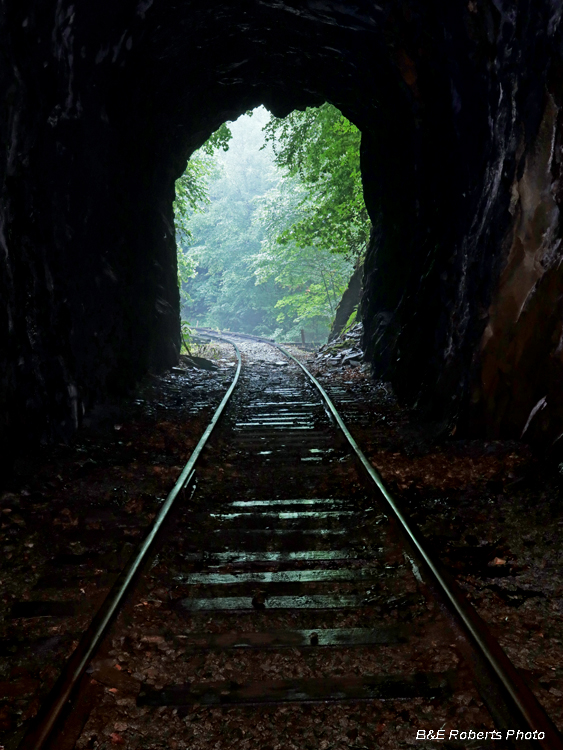 View_out_Tunnel