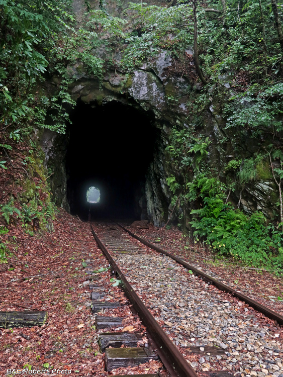 Tunnel_east_entrance