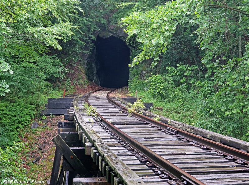 Trestle_Tunnel