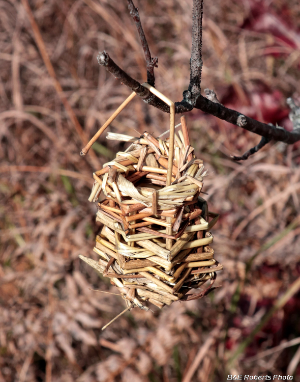 Woven_mini_basket