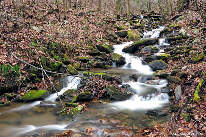 Mill_Creek_cascades