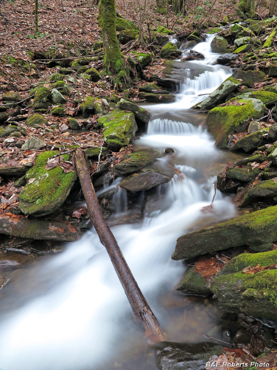 Mill_Creek_cascades