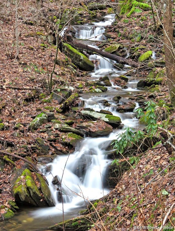 Mill_Creek_cascades